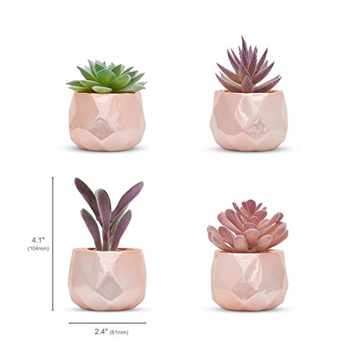 Nordik Set of 4 Desk Plants in Rose Gold - Office Decor for Women, Indoor, Living Room, Bedroom, Home and Desk Decor – Pink Faux Succulents Geometric Ceramic Planters - color: Rose Gold