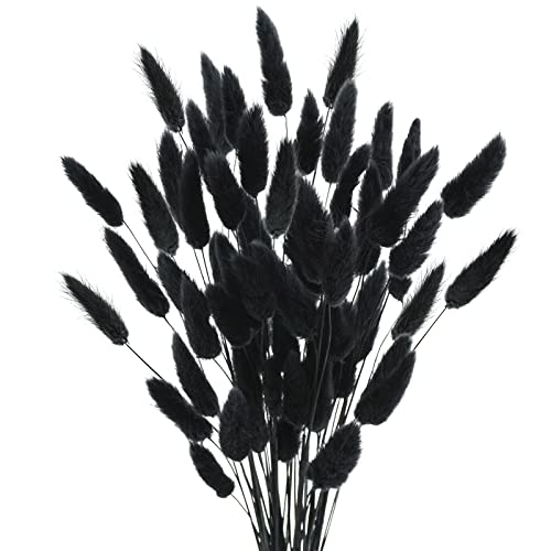 Uieke 17’’ Natural Bunny Tails Dried Flowers, 50 Pcs Dried Lagurus Ovatus, Dried Black Pampas Grass Decor for Farmhouse Flower Arrangements Wedding Home Craft Boho Party Decorations - color: Black-50pcs