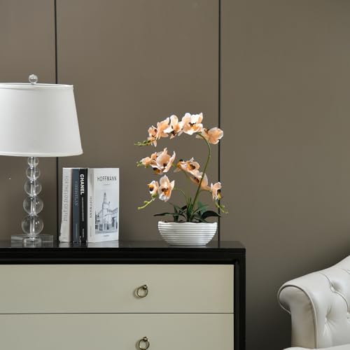 19" H Phalaenopsis Faux Orchid Plant Silk Orchid Centerpiece Artificial Floral Arrangement in Ceramic Pot (Champagne) - color: Champagne