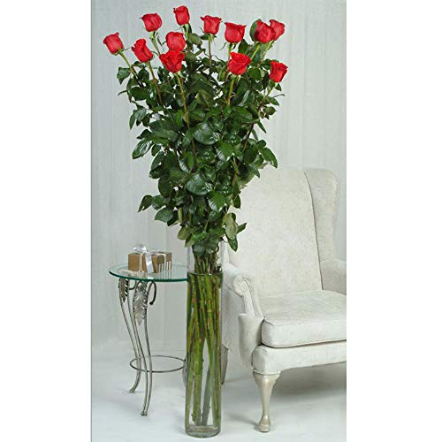WGV Cylinder Vase, Diameter 5", Height 18", Clear Glass Floral Planter Container, Tall Centerpiece Arrangement for Wedding Party Event Home Office Decor, 1 Piece - size: 5"x18"H CL