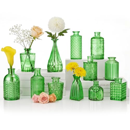 12 Pcs Green Bud Vases Set, Armber Small Vintage Glass Clear Bud Flower Vases Bulk Multiple Shape Cute Mini Glass Bottles Vases for Rustic Wedding Centerpieces Table Decorations and Home Decor - color: Green