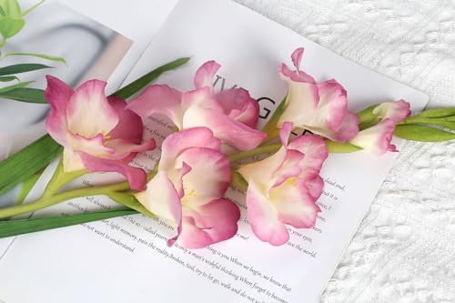 5 PCS Gladiolus Artificial Flowers 35.82 in Gladiolus Flowers Silk Long Artificial Flowers for Wedding Party Baby Shower Centerpieces Bridal Bouquet Decor(Pink) - color: Pink