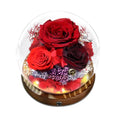 Preserved Flower Red Rose in Glass, Eternal Roses Gifts for Women, Mom, Girlfriend, Wife, Her on Christmas, Valentine's Day, Mother's Day, Birthday, Anniversary