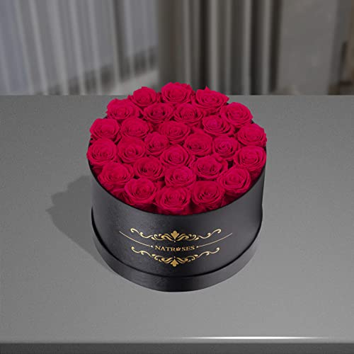 NATROSES 27 Piece Forever Preserved Roses in a Box, Preserved Flowers for Delivery Birthday, Flowers Gifts for Mothers Day, Hot Pink - color: Hot Pink, size: 27 Roses