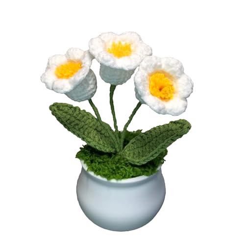 Joekaran Crochet Flowers Cute Little Potted Flower, Gift for Birthday, Teacher’s Day, Graduation, Anniversary, Christmas, Decor for Car Dashboard,Home Office Decoration (White Lily of the Valley) - color: White Lily of the Valley