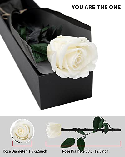 White Flowers for Delivery Prime, Preserved White Roses Flower Gifts for Women, Real Roses Single Rose Gifts for Her, Mom Birthday Gifts from Daughter, Valentines Flowers - color: 01-white