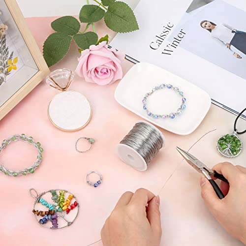cridoz 24 Gauge Stainless Steel Wire for Jewelry Making, Baling Wire for Wrapping, Craft and Jewelry Making - size: 24 Gauge