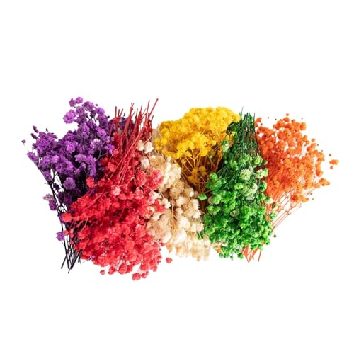 120 Pcs Mini Dried Baby Breath Flowers Gypsophila Ivory Mixed Color Flowers Dried Flowers for Vase Wedding Home Office Party Garden Card Making Decor Wreath Floral Craft DIY Art (Mixed Colors) - color: Mixed Colors