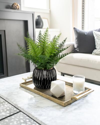 DILATATA Faux Plant Indoor in Ceramic Pot 11" Artificial Potted Fern Fake House Plants for Desk Office Bathroom Garden Decoration - Black