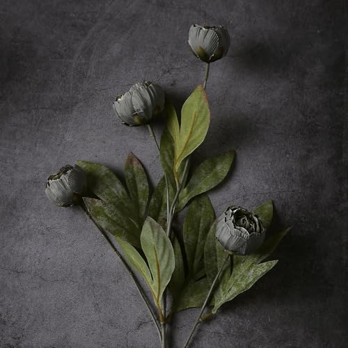 VIERENA 6 Pcs Faux Silk Peony Artificial Flowers for Vase -27", Bulk Fake Peonies Branches with Stems for DIY Bouquet Centerpieces Wedding Fillers Arrangements Shower Decorations (Dark Gray) - color: Dark Gray