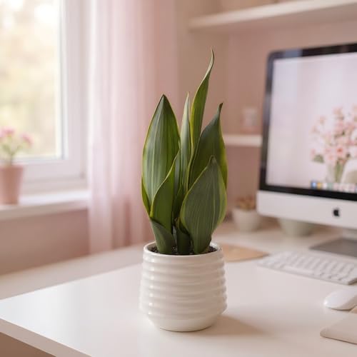 Artificial Snake Plant Potted, 15" Faux Plant, Suitable for Home Office Living Room Window Sill Indoor Decor Housewarming Gifts - color: White