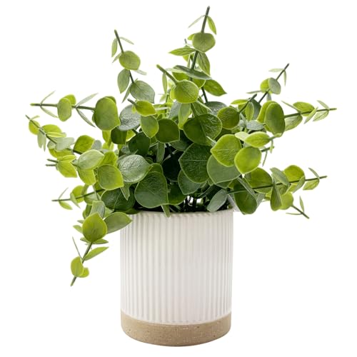 Coferset Small Fake Plants Eucalyptus Potted Artificial Plants Faux Plant Greenery in Ceramic Pot for Bedroom Kitchen House Living Room Shelves Farmhouse Table Office Desk Bathroom Home Indoor Decor - color: Eucalyptus-ceramic Pot