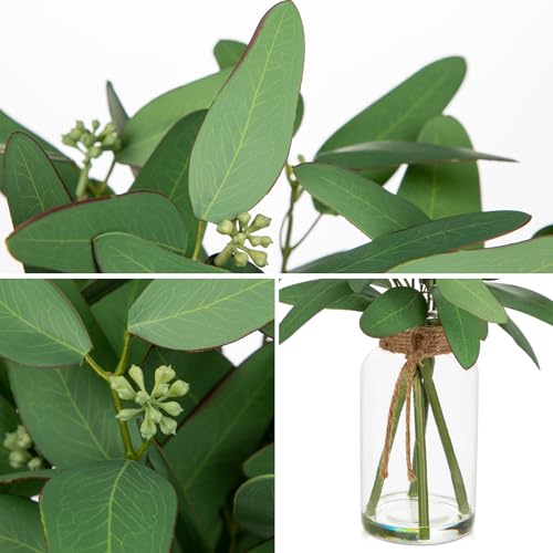 Briful Artificial Eucalyptus Stems in Clear Glass Vase with Faux Water, 14" Fake Plant Eucalyptus Leaves for Home Office Farmhouse Wedding Centerpiece Décor - color: Green Long