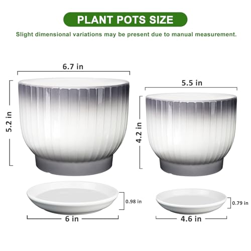6.7 + 5.5 Inch Ceramic Plant Pots,Planters with Drainage and Saucer,Indoor Pots for Plants,Modern Flower Pots for Home and Office（Gray + White） - color: Gray + White