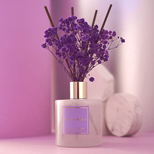 Cocorrína Premium Reed Diffuser Set with Preserved Baby's Breath & Cotton Stick Lavender Thyme | 6.76 Fl.oz Scent Diffuser for Bedroom Bathroom Home Décor - size: 6.7 Ounce/1pack
