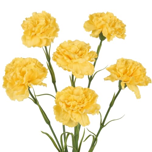 IPOPU 6PCS Dark Yellow Real Touch Carnations Artificial Flowers 20'' Realistic Faux Flowers Fake Carnations with Long Stems for Fall Wedding Party Home Table Centerpieces Decor (Dark Yellow) - color: Dark Yellow
