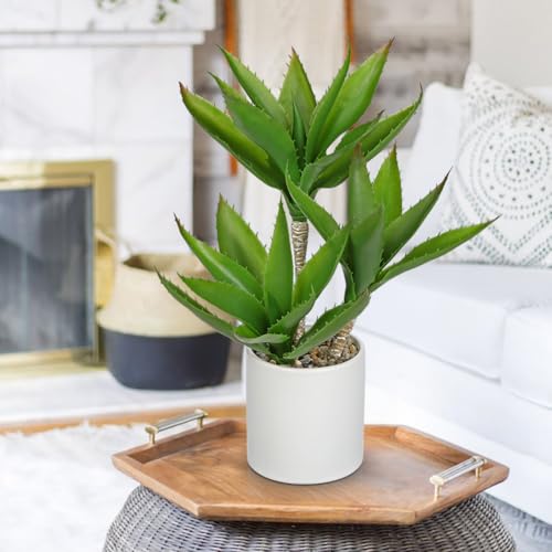 Hollyone Large Artificial Agave Plants Fake Three-Head Agave Succulents Plant Potted 17" Faux Plant in White Pot Succulent Aloe Vera Plants Indoor for Desk Modern Home Decor - color: Style 4