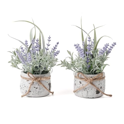 Small Fake Plants, 2 Pack Mini Artificial Plants Fake Lavender Plant in Pot, Lavender Decor and Dining Room Desk Shelf Bathroom Living Room (A-2pcs) - color: Purple