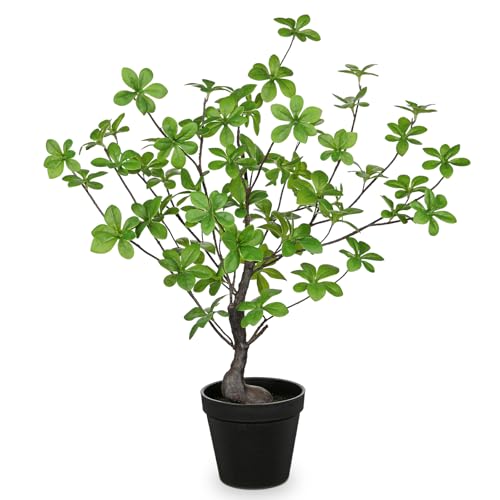 Artificial Plants Indoor with Pot, Faux Plants Indoor Tabletop, 21.6" Tall Fake Potted Plants, Silk Artificial Desk Plant Bonsai Tree for Home & Office, Farmhouse, Bedroom, Living Room Table Decor - color: #Green Bonsai Tree