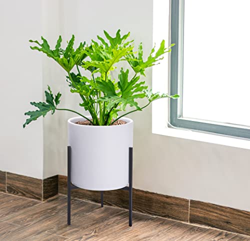 D'vine Dev Modern White Plants Pot Cylinder Planter with Heavy Duty Stand, Medium 10 Inch Pot, 16.3 Inch with Stand Height, 96-T-A-2 - color: White, size: Medium 10 Inch