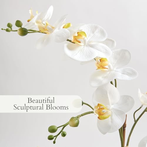 CG Hunter Faux Orchid Plant w/Succulents, Premium Artificial Indoor Flower Display Stands 24” w/Beautiful Sculptural Blooms and Succulents That Lasts Forever, Grey Planter Pot Included - size: 24" White Orchid With Succulents