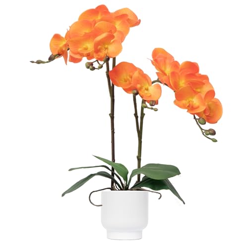CXGS Orchids Artificial Flowers Real Touch Fake Flowers in Ceramic Pot 20" Orange Faux Orchid Plant Lifelike Silk Phalaenopsis for Centerpiece Hotel Home Indoor Decor - color: Orange- White Vase