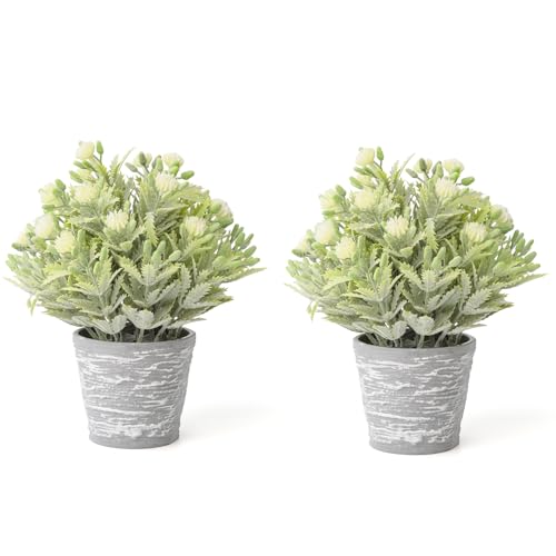 2 Pack Small Desk Plants, Artificial Bathroom Plants Decor with Flower in Vintage Melamine Pots, Faux Plants Indoor for Shelf Decor in Home Office, and Spring Decor (Ivory White) - color: Ivory White