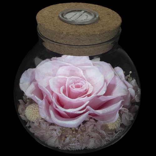 Preserved Real Roses with Colorful Mood Light Wishing Bottle, Eternal Rose，Never Withered Flowers, for Bedroom Party Table Decor, Christmas Decorations, a Gifts for Women 1pcs Pink - color: Pink
