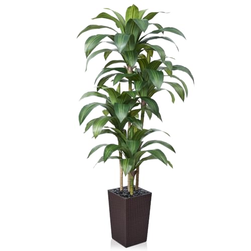 VeriNatural 6FT Artificial Dracaena Tree - UV Resistant Faux Tropical Plant, Potted Fake Tree with Taper Planter & Pebbles - Indoor Outdoor Greenery for Home, Porch, Living Room, Bedroom Decor, VN127 - color: Espresso Brown, size: 6ft