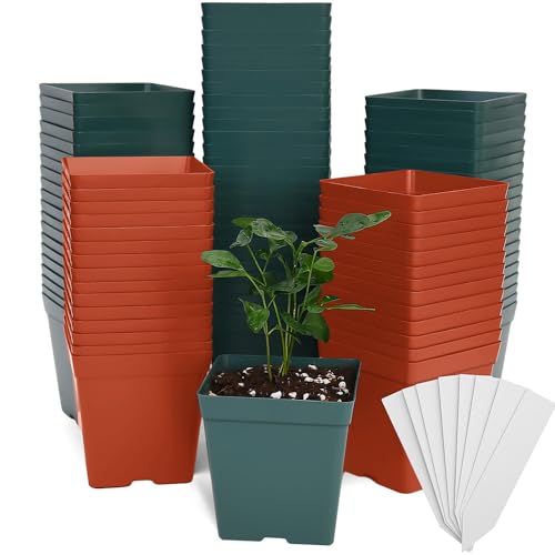 June Fox 100 Pack Green Red Square Nursery Pots with Drainage Holes 3.3 Inches Flexible Plastic Seedling Pots Square Pots for Plants, Succulent, Flower, with Plant Labels - color: Green and Red