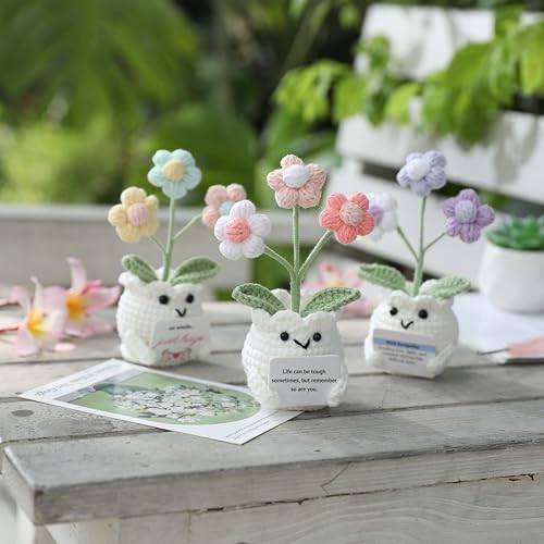 Crochet Sympathy Gifts for Loss of Loved One – No Words, Just Hugs Crochet Puff Flower Plant– Bereavement, Memorial, Get Well Soon, Grief Gift Idea for Loss of Grandpa Grandma Mom Dad - color: E-no Words, Just Hugs