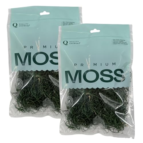 Preserved Spanish Moss - Premium Decorative Moss for Crafts, Home Décor, Art, Design & DIY Projects - Real Moss - Non-Toxic, USA-Made (Forest Green, Medium, 2-Pack) - color: Forest Green, size: 2-Pack, Medium