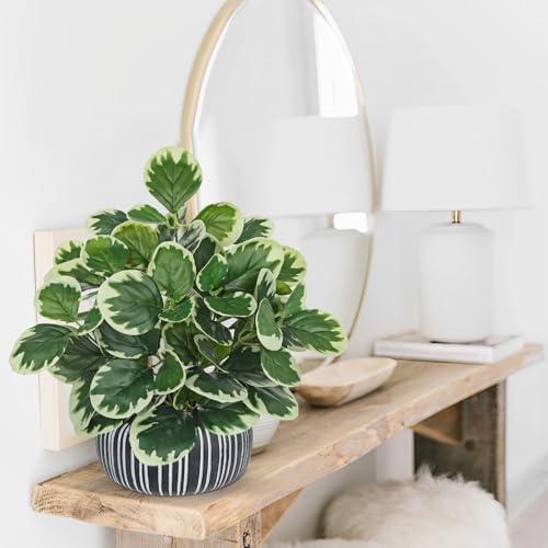 13" Artificial Plants Indoor Small Fake Plant in Ceramic Pot, Silk Plants for Home Decor Indoor, Faux Peperomia Potted Plant for Shelves, Desks, Home, Room, Office, Bedroom, Entryway, Tabletop Decor - color: #Green #1