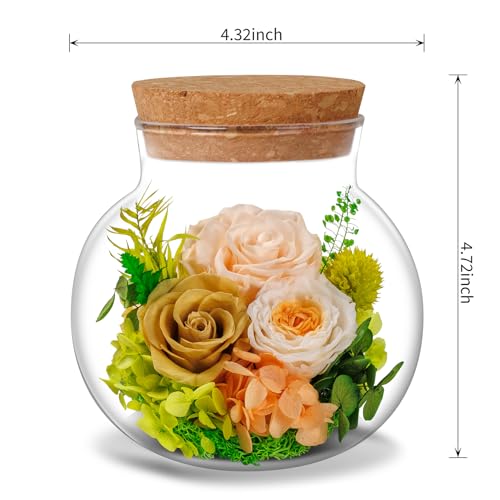 NATROSES Christmas Birthday Gifts for Women - Handmade Preserved Flowers Wish Bottle for Valentine's Day, Mother's Day, Anniversary, Home Decor (Champagne) - color: Champagne