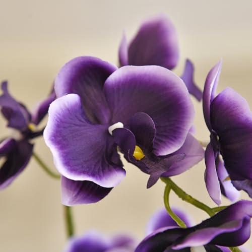 19" H Phalaenopsis Faux Orchid Plant Silk Orchid Centerpiece Artificial Floral Arrangement in Ceramic Pot (Deep Purple) - color: Deep Purple
