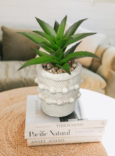 Hollyone 2 Pack Small Artificial Succulents Agave Plants Potted Fake Spiked Succulent Plant in Rustic Pot Mini Faux Plant Agave Aloe Plant Indoor for Office Desk Farmhouse Home Table Shelf Boho Decor - color: Green #1