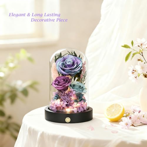 Birthday Gifts for Women Purple Preserved Flowers in Glass Dome Forever Flowers for Delivery Prime, Colorful Forever Roses Anniversary Mothers Day Valentines Day for Her Mom Wife - color: Starry Purple & Blue