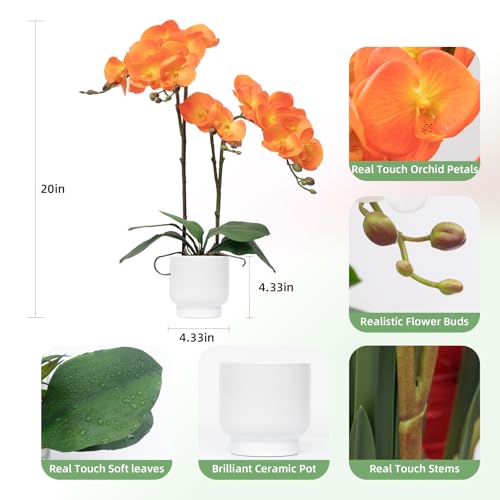 CXGS Orchids Artificial Flowers Real Touch Fake Flowers in Ceramic Pot 20" Orange Faux Orchid Plant Lifelike Silk Phalaenopsis for Centerpiece Hotel Home Indoor Decor - color: Orange- White Vase