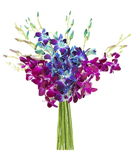 KaBloom-20 Blue&Purple Orchid Bouquet,Flowers for Valentine, Mother's Day - color: Blue and Purple, size: 20 count, style: Without Vase