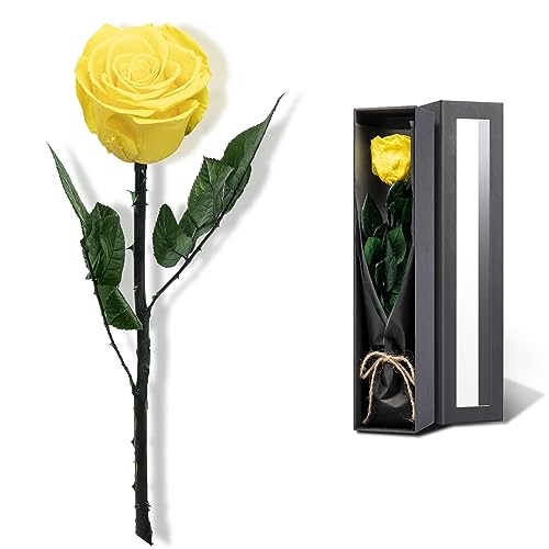 Yellow Flowers for Delivery Prime, Preserved Yellow Roses Flower Gifts for Women, Real Roses Single Rose Gifts for Her, Mom Birthday Gifts from Daughter,, Valentines Flowers - color: 16-yellow
