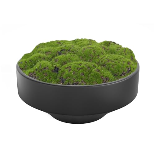 NAHARO New Moss Bowl, Handmade Ceramic. 11" Artificial Moss Bowl Centerpiece for Home Decoration, Living Room, Office - color: Black