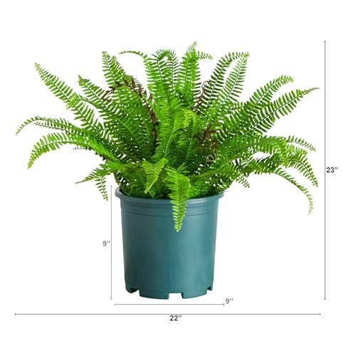 Nearly Natural 23in. UV Resistant Artificial Boston Fern Plant with Real Touch Leaves (Indoor/Outdoor)