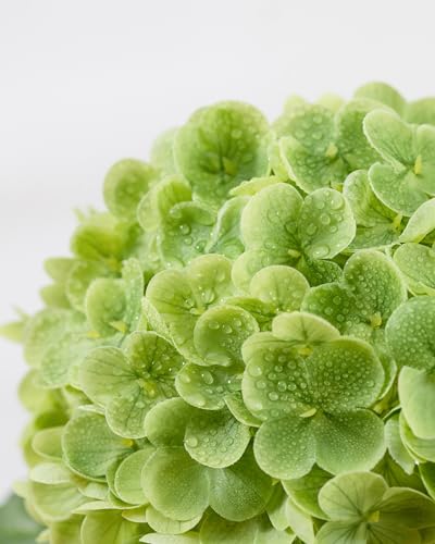DuHouse 3Pcs Large Hydrangea Artificial Flowers,20 inch Latex Real Touch Hydrangeas Lifelike Hydrangea Flower for Home Wedding Bouquets Centerpieces Party Living Room Decoration(Green) - color: Green, size: 3pcs