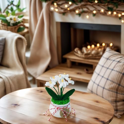 Joekaran Crochet Flowers Cute Little Potted Flower, Gift for Birthday, Mother's Day, Teacher’s Day, Graduation, Anniversary, Decor for Car Dashboard,Home Office Decoration (White Myosotis) - color: White Myosotis