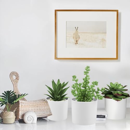 Hopewood Succulent Plants Artificial in White Pots Small Faux Potted Succulents Fake Plants in Vase Set of 3 - color: Faux Plants-white