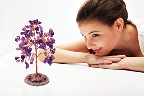 Mina Heal Healing Crystals Tree/Bonsai Tree for Home Decor, Room Decor and Office Desk, Spiritual Gifts for Energy Healing, Good Luck Gifts for Wealth & Prosperity, and Decorative Home Accessories - color: Amethyst (Purple)