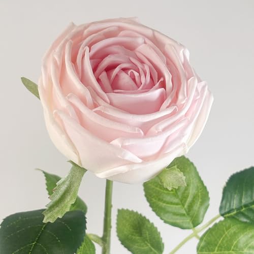 5Pcs Pink Real Touch Silk Flowers - Lifelike Roses Peony | Lifelike Pink roses & peonies with soft latex touch, no watering needed. Perfect for wedding bouquets, home decor & DIY - color: Pink