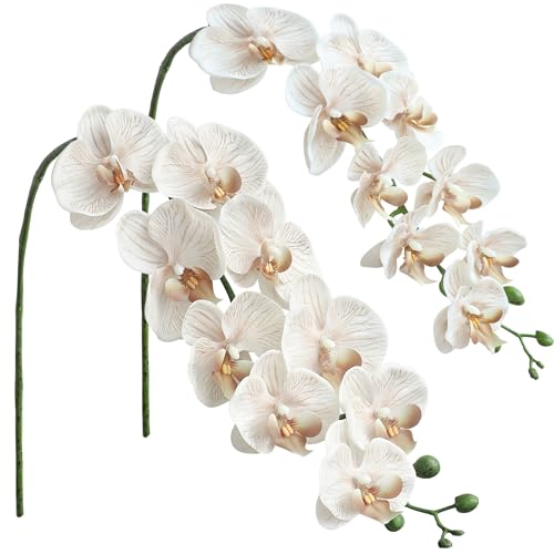Floroom 2pcs Faux Phalaenopsis Orchid Fake Artificial Flower with Stems, Real Touch Large Blooms 40 Inch for DIY Bouquets, Wedding Centerpieces & Home Decor, Warm Beige - color: Warm Beige