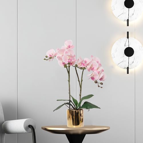 CXGS Artificial Orchid Flower Plant Real Touch Faux Orchids in Ceramic Vase Pink 19.7'' Fake Phalaenopsis Flower Arrangement Centerpiece Home Indoor Decor - color: Pink- Golden