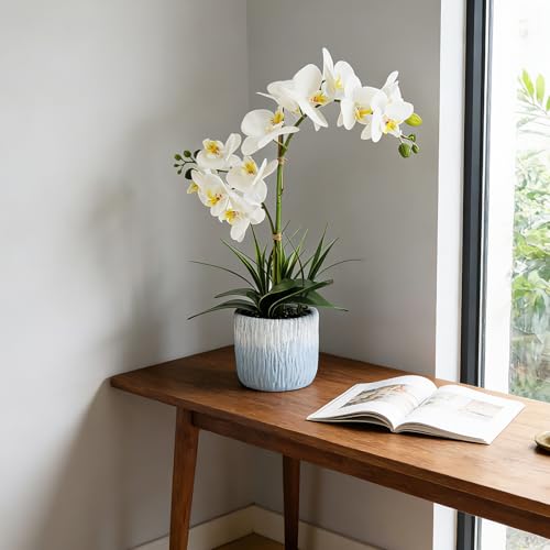 Orchid Artificial Flowers 20.6" White Fake Orchid Flowers in White Ceramic Pot Faun Orchid Plant for Home Decor Office Bathroom Table Centerpiece Indoor(White#1) - color: White-light Blue